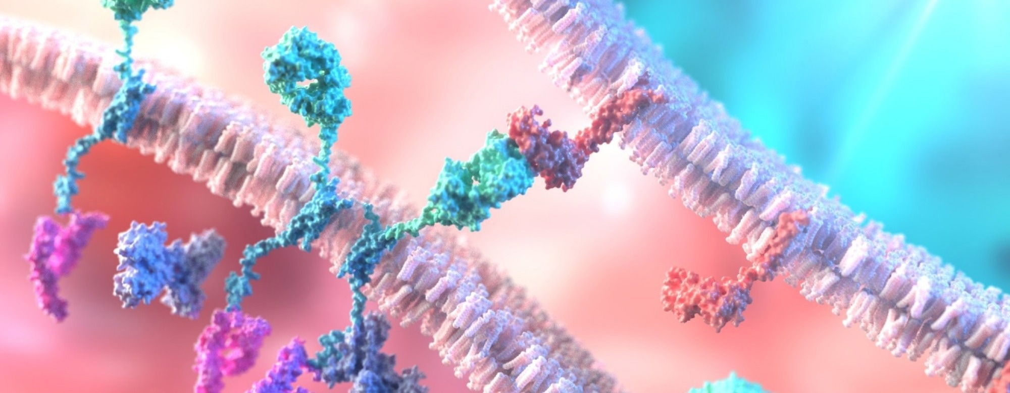 New Pipeline Sharpens Single-Cell Profiling of CAR Immune Therapies