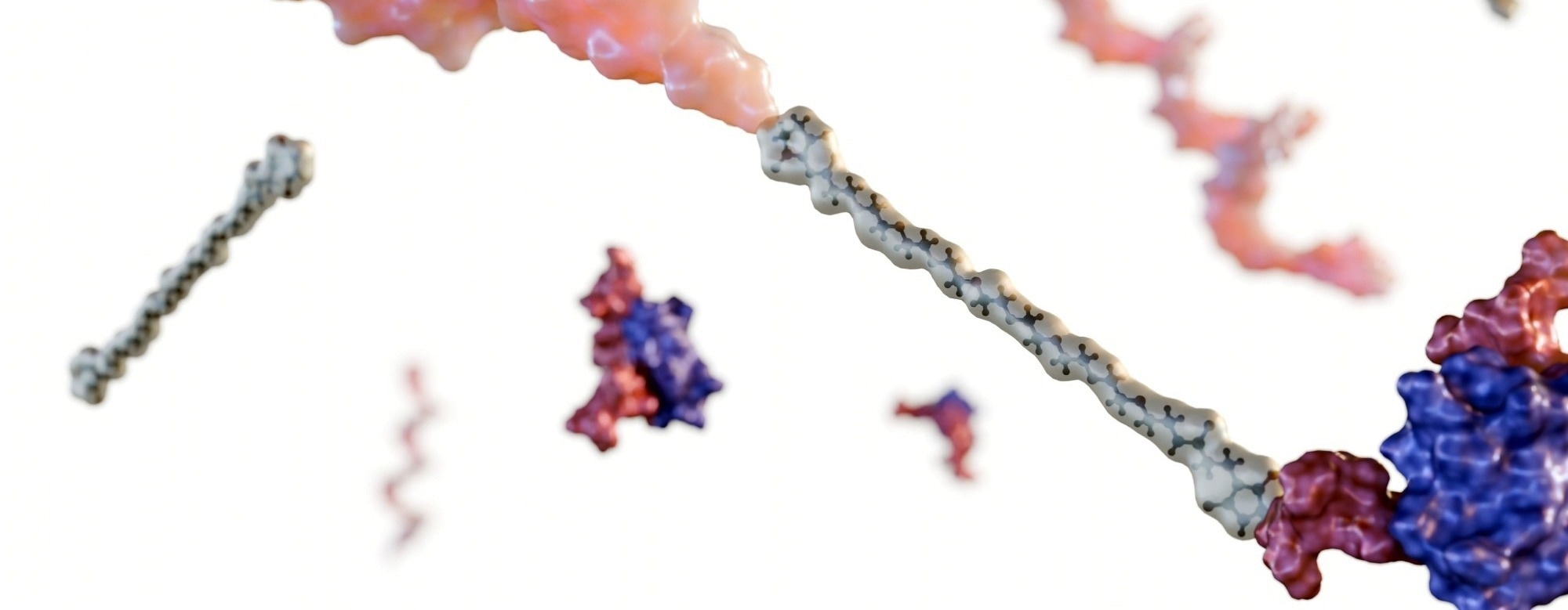 Peptide Oligonucleotide Conjugates for Targeted Nucleic Acid Therapeutics