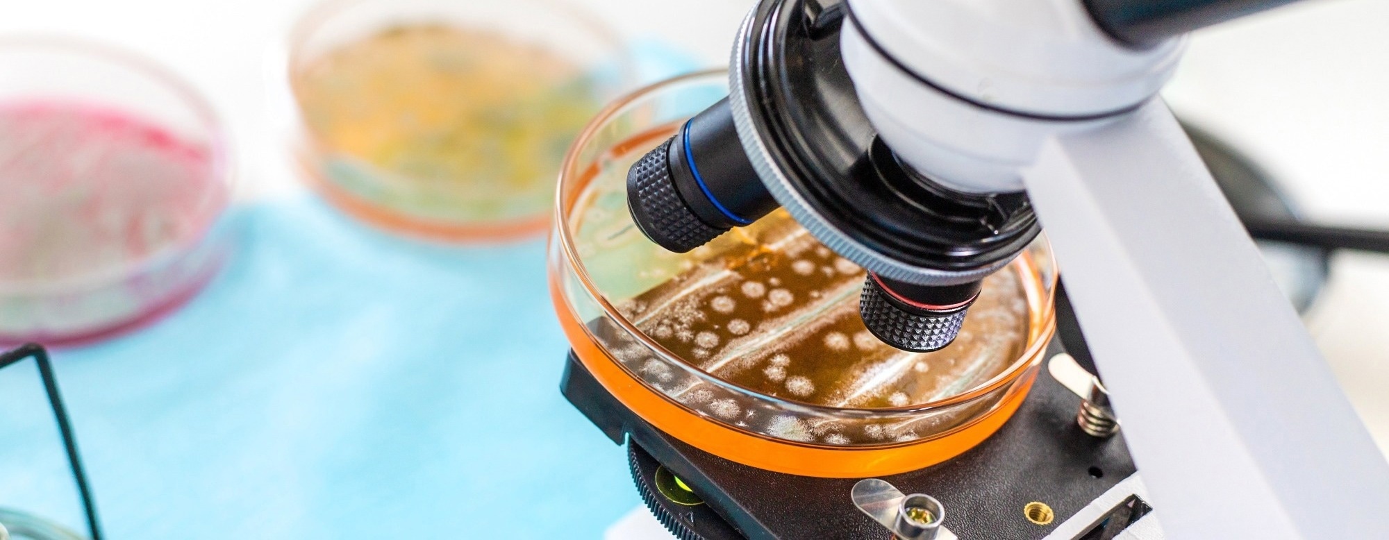 New Single-Cell Technique Reveals Why Bacteria Survive Antibiotics