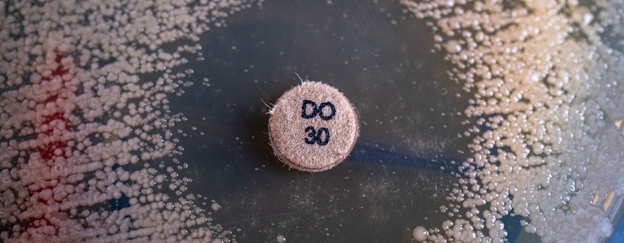 New TriPcide Antibiotics Kill Dormant MRSA Without Resistance