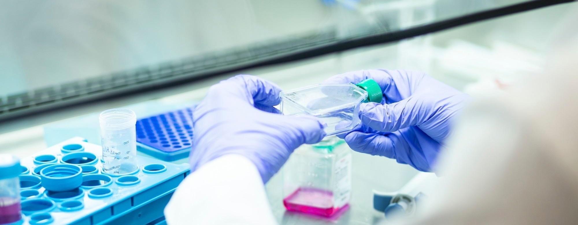 Building More Realistic Human Tissue Models With Assembloids