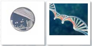 Using Cryogenic Grinding to Prepare Sample Materials