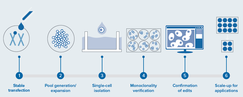 Automating CRISPR-Based Cell Line Development