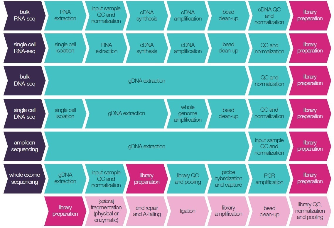 Exploring Miniaturization and Automation of Next-Generation Sequencing (NGS) Library Preparation Workflows