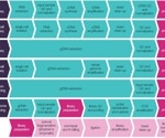 Exploring Miniaturization and Automation of Next-Generation Sequencing (NGS) Library Preparation Workflows