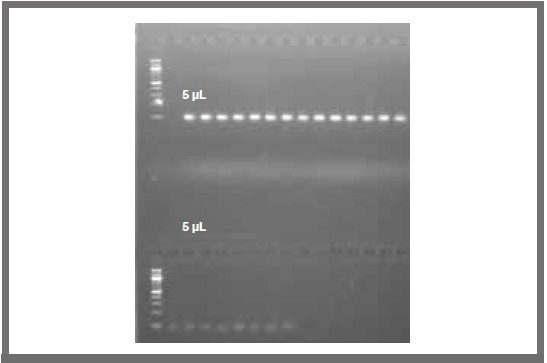 Using mosquito® LV for Gateway® Cloning, PCR Amplification and Nextera Library Generation