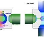 Using Light-Sheet Fluorescence Microscopy to Study Living Plants