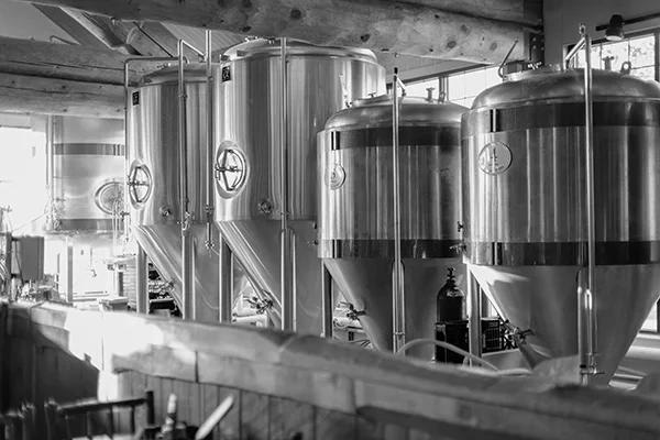 The Many Applications of Bioreactors: From Microbiology to Biotechnology
