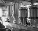 The Many Applications of Bioreactors: From Microbiology to Biotechnology