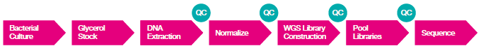 Manual Processing – Identifying Areas for Improvement