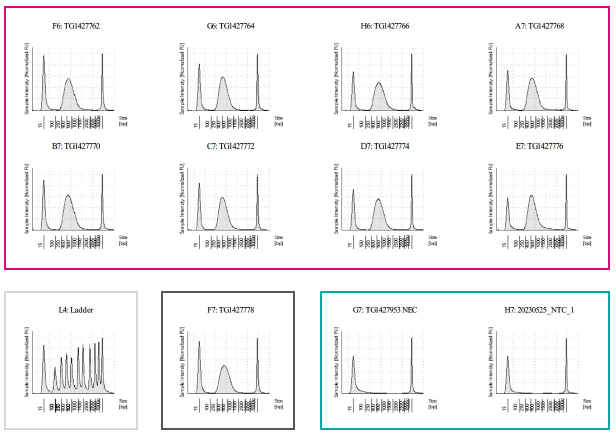 igure 2. D5000 TS assay for Watchmaker DNA Library Kit with Fragmentation.