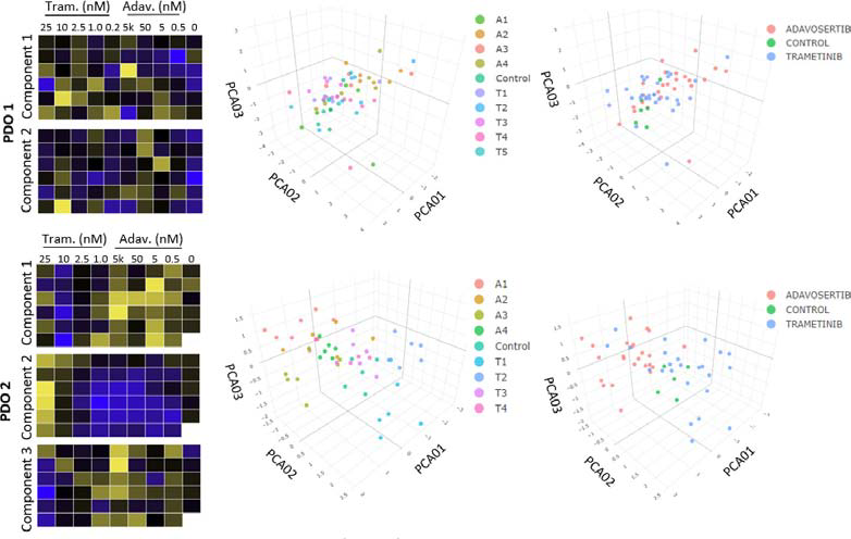 Heat maps and principal component analysis (PCA). For Donor 1 (PDO 1), 2 components are shown, which show limited clustering within or between drug concentrations. Donor 2, however, had clear clustering in components 1, 2, and 3, within each drug compared to controls