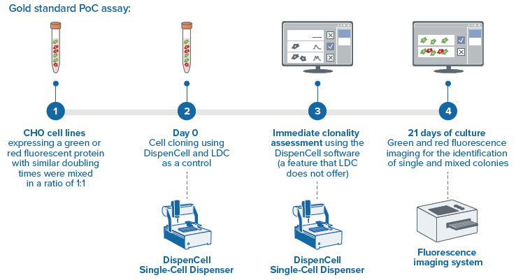 Experimental design of the PoC assay.