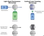 Can You Control Biological Processes With Photomanipulation?