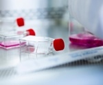 Real vs. Synthetic Tissue: Comparative Analysis