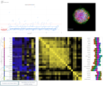 Employing Cell Painting for Image-Based Phenotypic Profiling in a 3D Breast Cancer Spheroid Model