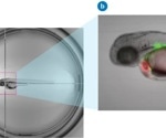 How to Optimize High-Content Screening?