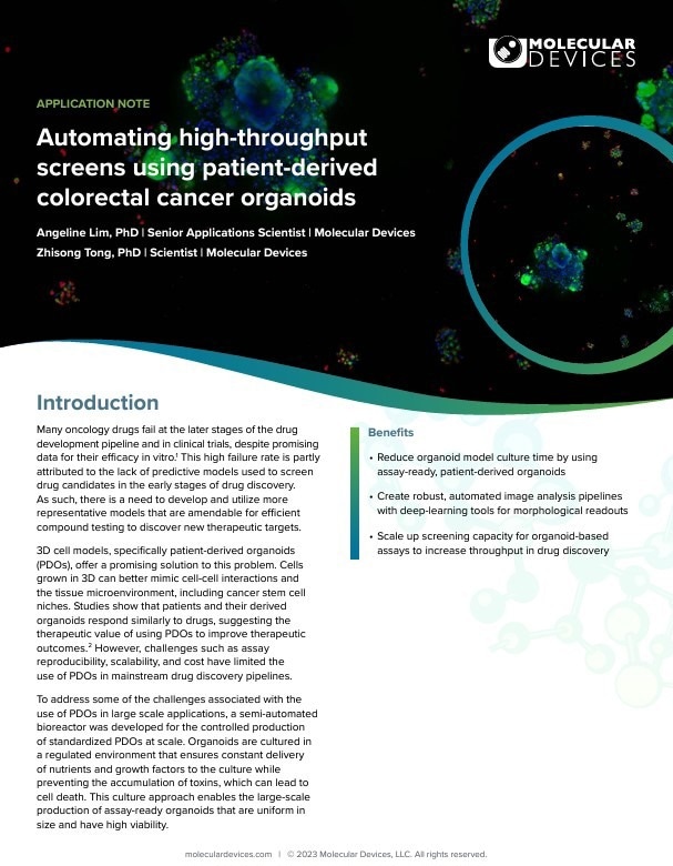 How Patient-Derived Colorectal Organoids Improve Cancer Screening Accuracy