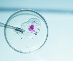 Advancing Biomedical Imaging: New Techniques and Applications in Cellular Analysis
