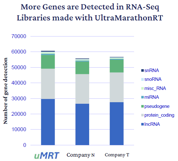 Gene detection across RNA biotypes. UltraMarathonRT detection is higher than retroviral RTs in all RNA classes. The largest gains are observed in noncoding RNAs (blue)