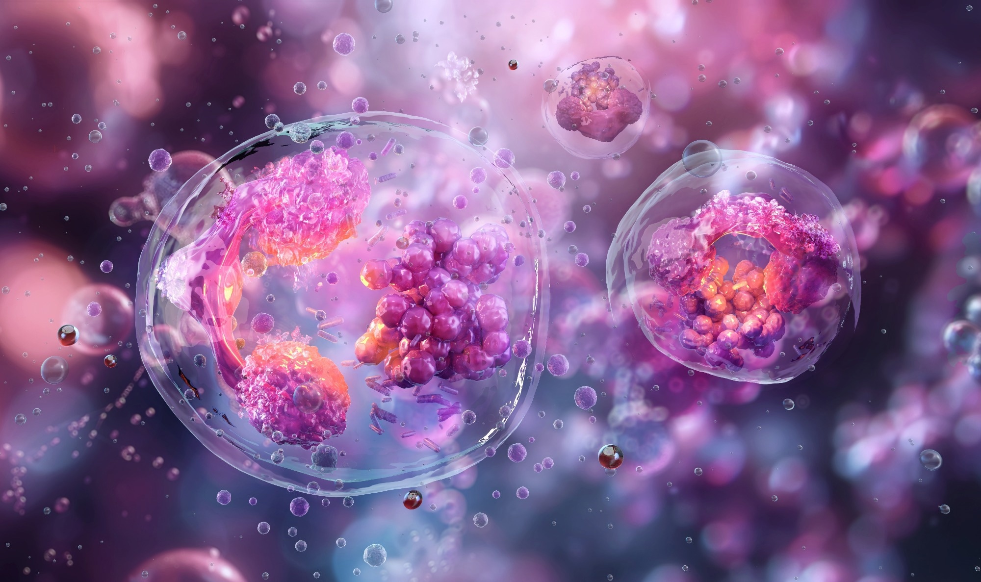 Image Credit: Corona Borealis Studio/Shutterstock.com