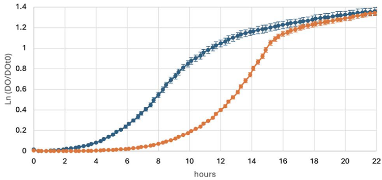 Growth curves of prokaryote B at 28 °C with continuous (orange) or intermittent (blue) shaking. Shown are the means of triplicate wells, with error bars representing standard deviation. Continuous: Mean Vmax = 4.028 mU/min, calculated using eight points with mean R2 = 0.998; CV (Vmax) = 1.6%. Intermittent: Mean Vmax = 3.135 mU/minute, calculated using eight points with mean R2 = 0.993; CV (Vmax) = 3.1%.