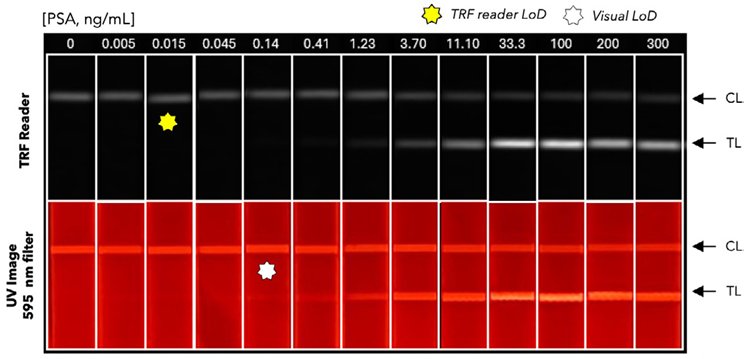 Typical images captured with a smartphone and a 595 nm filter under UV light, and with the SpectraMax iD5 reader, using a twofold serially diluted PSA standard in migration buffer and a negative control (0 ng/mL PSA). White and yellow stars indicate the limits of detection.
