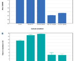 Measuring Bacterial Growth Under Changing Culture Conditions