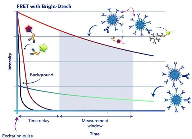 Principle of time-resolved signal measurement using Bright-Dtech nanoparticles. Time-resolved fluorescence (TRF) reduces background by using a lanthanide fluorophore, such as europium or terbium, which emits long-lived fluorescence. This fluorescence lasts for milliseconds; therefore, excitation by a pulsed light source (e.g., flash lamp), followed by a delay and then a signal measurement (‘counting window’), allows short-lived background fluorescence (lasting only nanoseconds) to decay before the signal is recorded