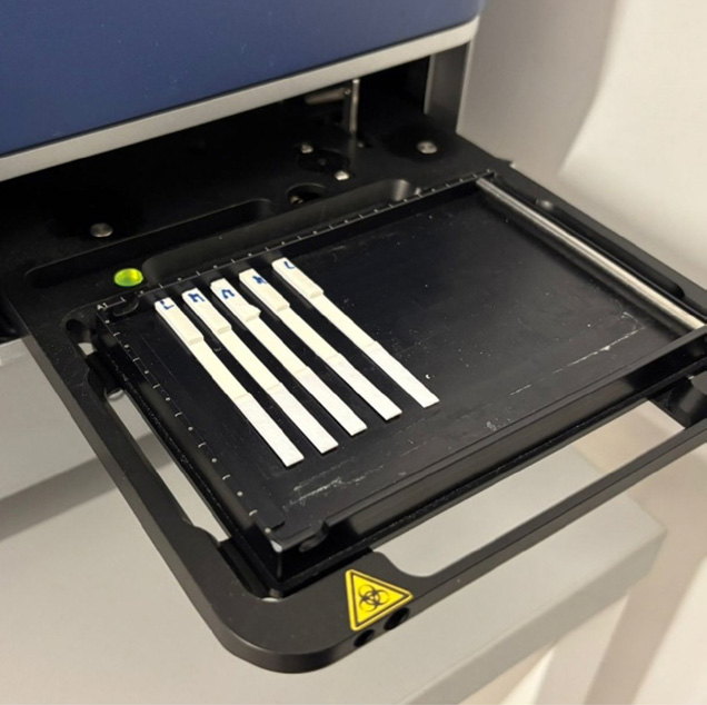 Strips for the h-LDH LFA placed on the rack of the ScanLater™ system of the TRF SpectraMax® iD5 reader