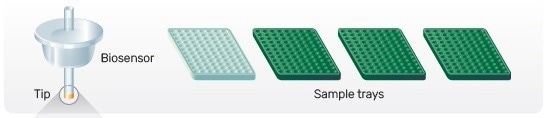 Gator® Pro: High-Level Biolayer Interferometry