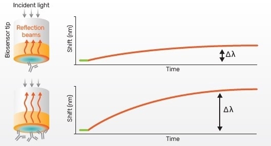 Gator® Pro: High-Level Biolayer Interferometry