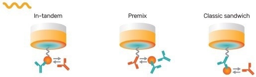 Gator® Pro: High-Level Biolayer Interferometry
