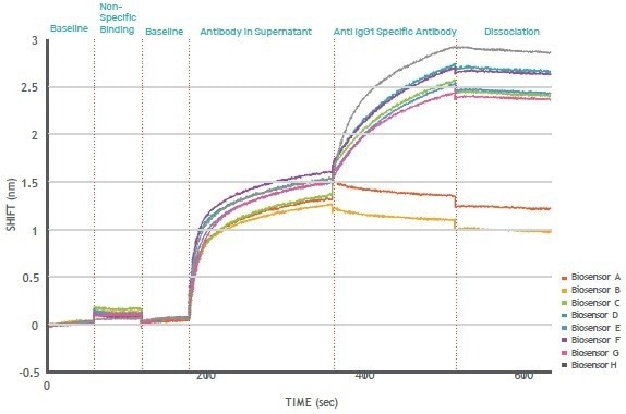 Gator® Prime: Biolayer Interferometry