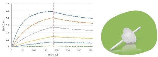 Gator® Plus: Quantitation, kinetics, and epitope binning through biolayer interferometry