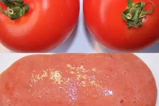 tomatoes