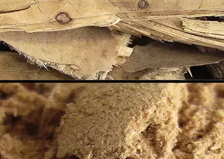 Wood