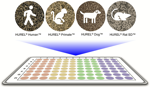 HUREL® ZooPlates™
