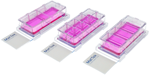 Chambered Cell Culture Slides