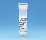 Type II Collagen