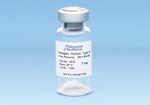 Type IV collagen non-sterile powder