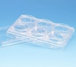 PureCol® collagen coated 6-well plates