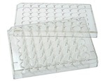 PureCol® collagen coated 48-well plates