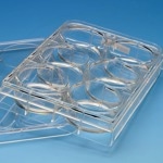 CytoSoft® 6-well Plates
