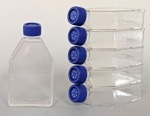 CytoSoft® T-75 Flasks