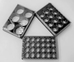 6, 12, and 24-Well Plates