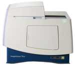 Achieving Rapid Analysis with the ImageXpress Pico Automated Cell Imaging System