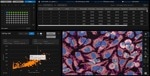 Enhancing Image Analysis Capabilities With IN Carta Software