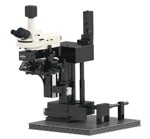 State-of-the-Art Multiphoton Microscopy with Ultima Investigator Plus
