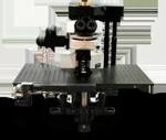 Ultima Multiphoton Microscope From Bruker Nano Surfaces